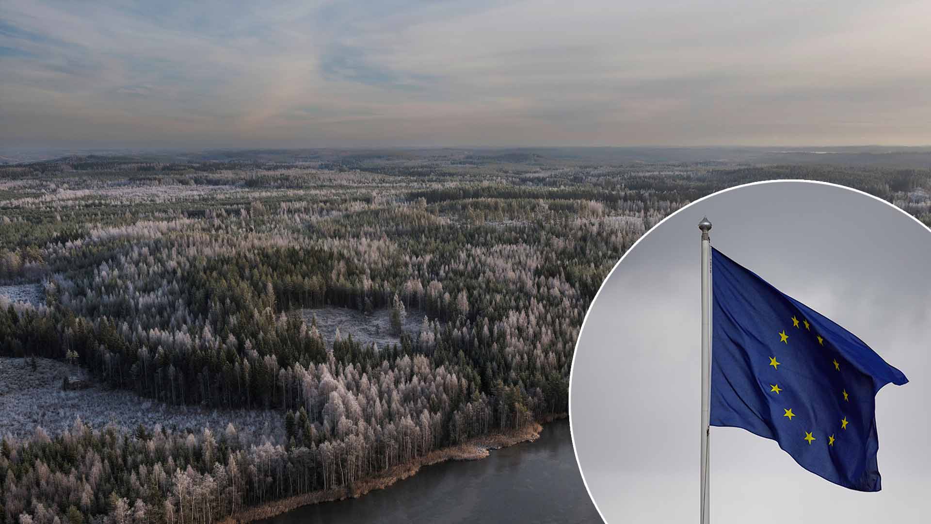 EU sääntelee monien eri politiikkojen kautta myös metsiä, vaikka varsinaista metsäpolitiikkaa unionilla ei ole.