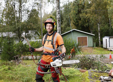 Arboristi Tuomas Murdoch kaataa ongelmapuita Jyvässeudulla.