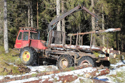 Ensimmäiset Lokomo Teli-Lokkerit tehtiin 60-luvun lopulla, tämä Lokkeri 925 on seuraavaa parannettua painosta. Alas käännettyjen vähennyspyörästöjen ja sivuille sijoitettujen kardaanien ansiosta maavaraa on hyvin runsaasti, mahan alta mahtuu päälle 70 senttiä korkea kivi tai kanto. Tyhjiltään noin 12,5-tonninen Lokkeri oli järeä ja maastokelpoinen, mutta 2-nopeuksisen Allison-vaihteiston välitykset soveltuivat huonosti metsään, eikä 130-hevosvoimaisessa kuutos-Perkinsissäkään riittänyt aina puhti.