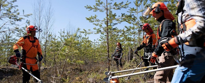 Metsänhoitoyhdistys Keski-Suomi - Maaseudun Tulevaisuus