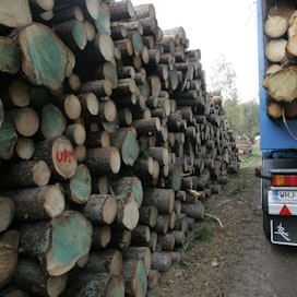 Suomen metsäkeskuksen mukaan muulla tienrakennusalalla tavallisten kantavuusmittausmenetelmien yleistyminen voisi pienentää tienrakennuksen kustannuksia ja parantaa puunkuljetuksille tärkeän metsätieverkoston laatua.