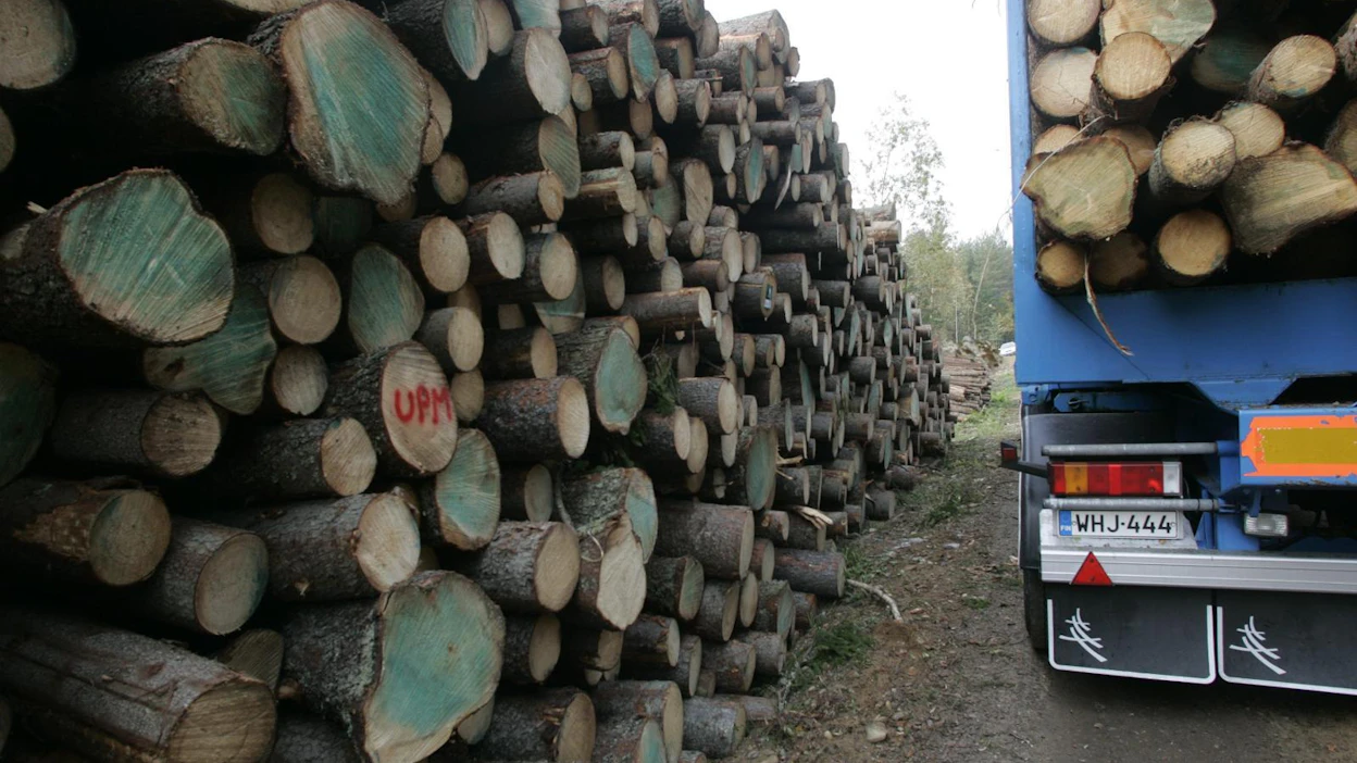 Suomen metsäkeskuksen mukaan muulla tienrakennusalalla tavallisten kantavuusmittausmenetelmien yleistyminen voisi pienentää tienrakennuksen kustannuksia ja parantaa puunkuljetuksille tärkeän metsätieverkoston laatua.
