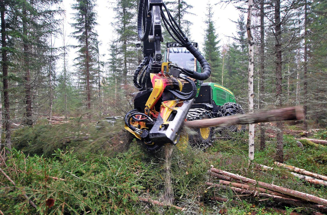 Mitä tiheämmässä metsässä hakkuu tehdään, sitä suurempi on riski puustovaurioihin.