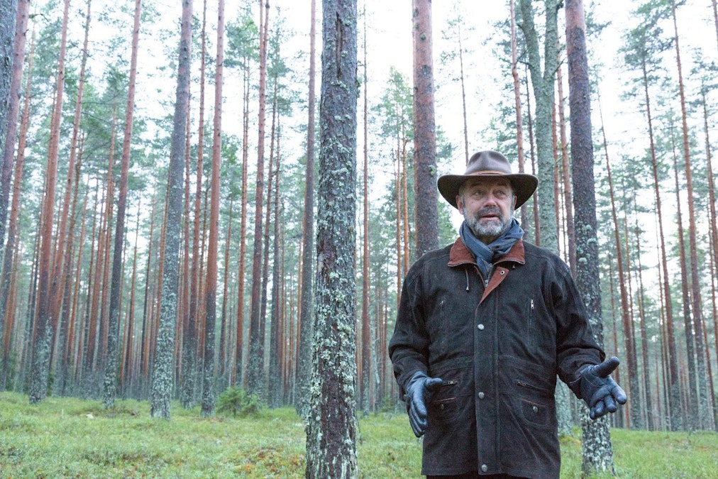 Näin Suomen 50 suurinta metsänomistajaa tienasivat – lähes viidesosalla  miljoonatulot - MT Metsä - Maaseudun Tulevaisuus