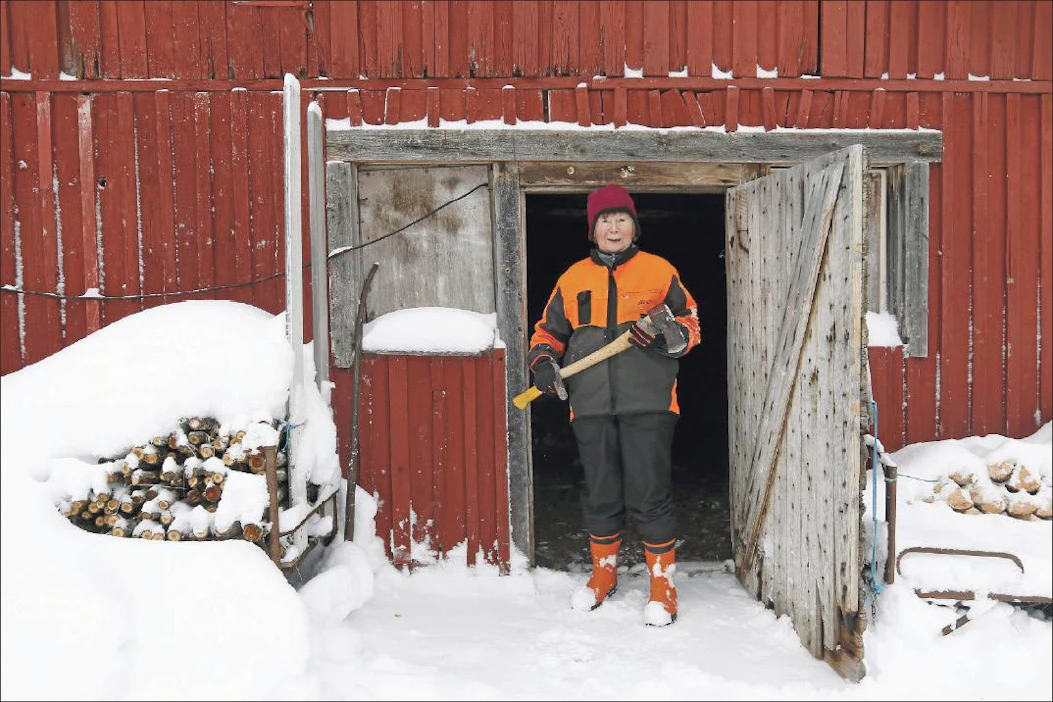 Halonhakkuu pitää Terttu Moilasen mielen ja ruumiin vireänä. Mestari luottaa Billnäsin kirveeseen, johon hän on itse kunnostanut uuden varren. ”Tämä on hyvä.” Pekka Fali