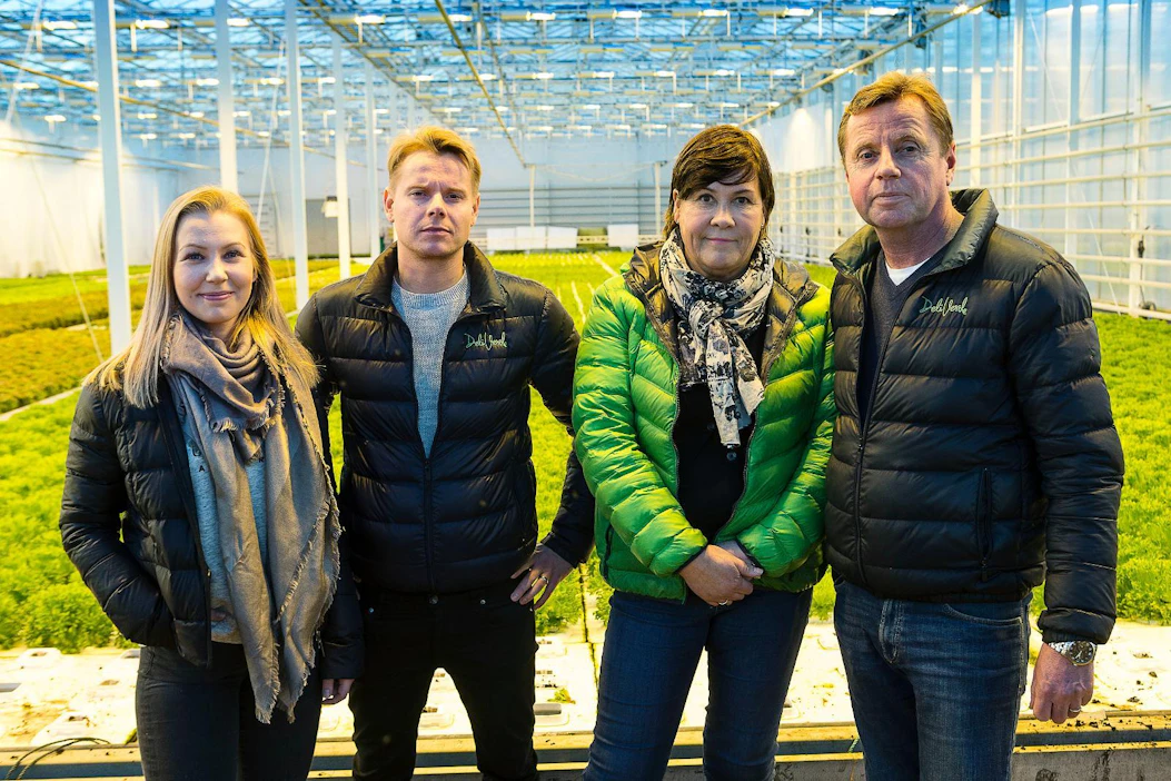 ”Lähiruoka, kasvisyönti ja kiinnostus ruuanlaittoon tukevat toimintaamme.” Puutarhayrittäjät Maija, Eero, Liisa ja Hannu Lindroth kasvattavat salaatteja ja yrttejä.
