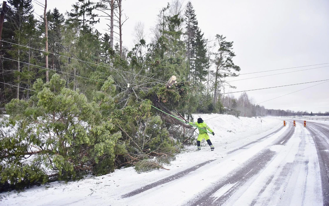 Tuulet ovat heikkoja kaikilla maa-alueilla, eikä sään aiheuttamista uusista sähkökatkoista ole riskiä.