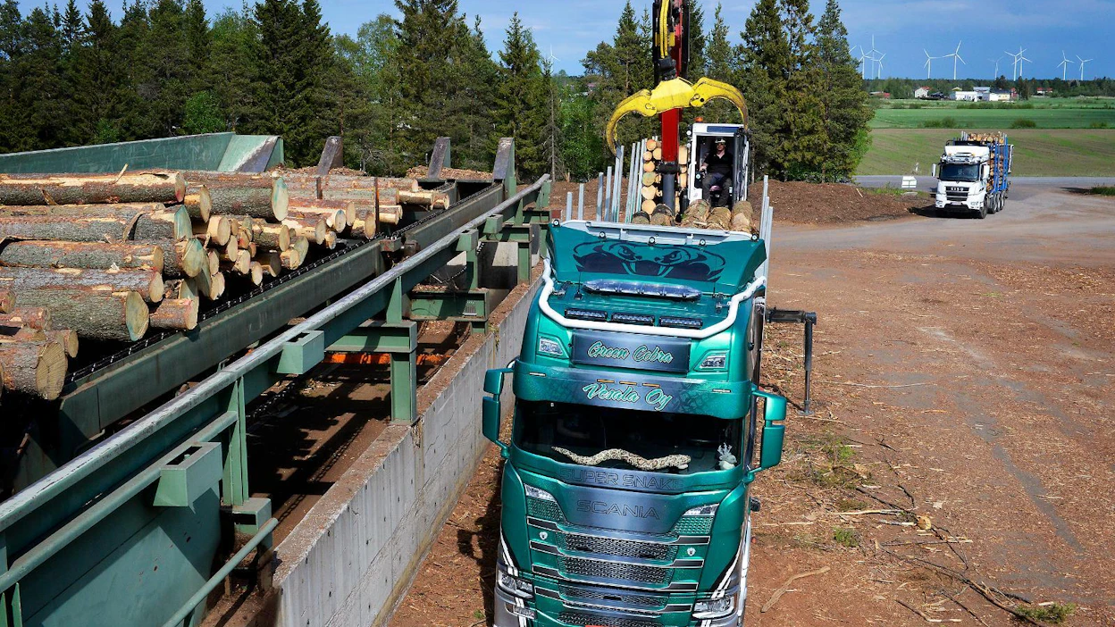 Puukuljetus Vesala Oy ajaa puuta viidellä autolla, joista Green Cobraksi ristitty Scania on uusin. Emil Lund purkaa kobran kuormaa Junnikkala Oy:n Kalajoen-sahalla. Tukit ovat Evijärveltä.