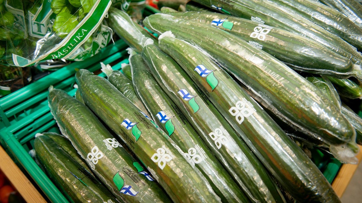 Kurkku on halpaa jos sitä on kaupassa.