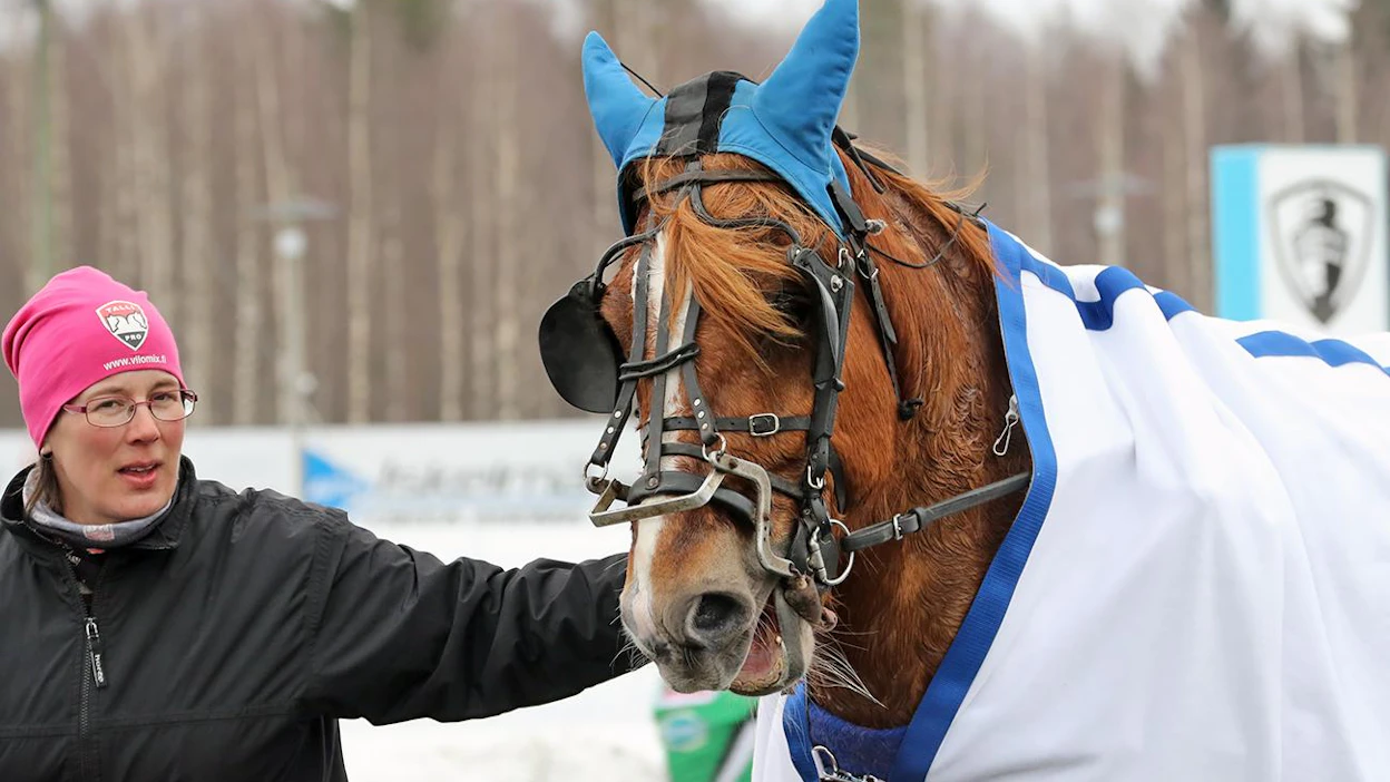 Kirsi Tolvanen sai taluttaa temperamenttisen Kartellin T76-voittajakehään Kuopiossa.