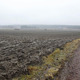 Nykypäivän tammikuinen maisema: lumen sijaan sankka sumu. Ilmastonmuutos voi tehdä Suomen talvista entistä lumettomampia.