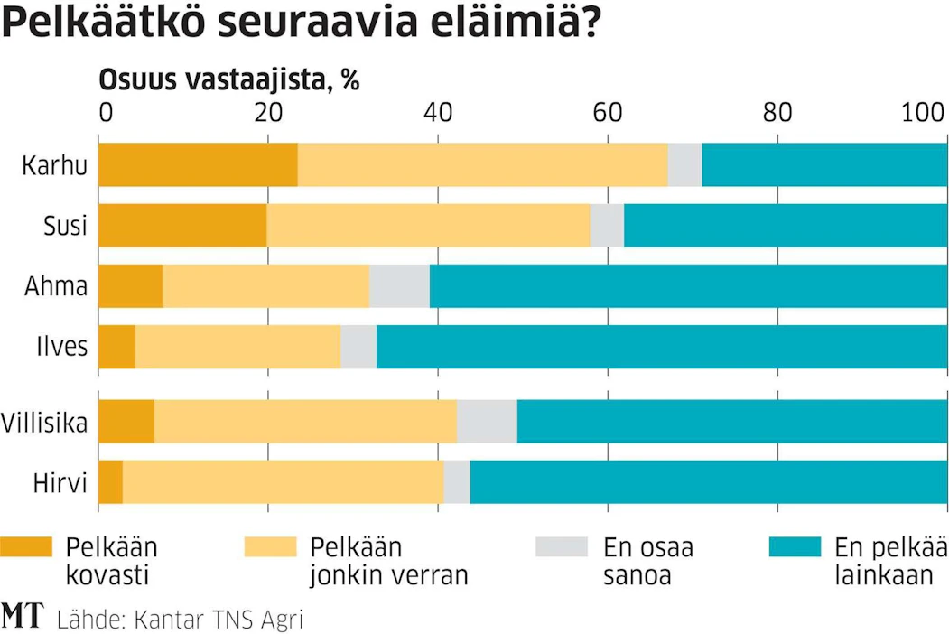 Joka kymmenes suomalainen sanoo nähneensä suden luonnossa, MT:n kyselytutkimus kertoo.