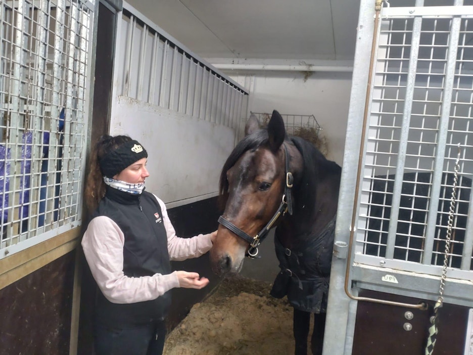 Henna Halmetta kiinnostaa kilvanajo, mutta vielä tärkeämpänä hän pitää oman tallin toimintaa. Kuvassa kaverina derbyvoittaja Benjamin Evo.