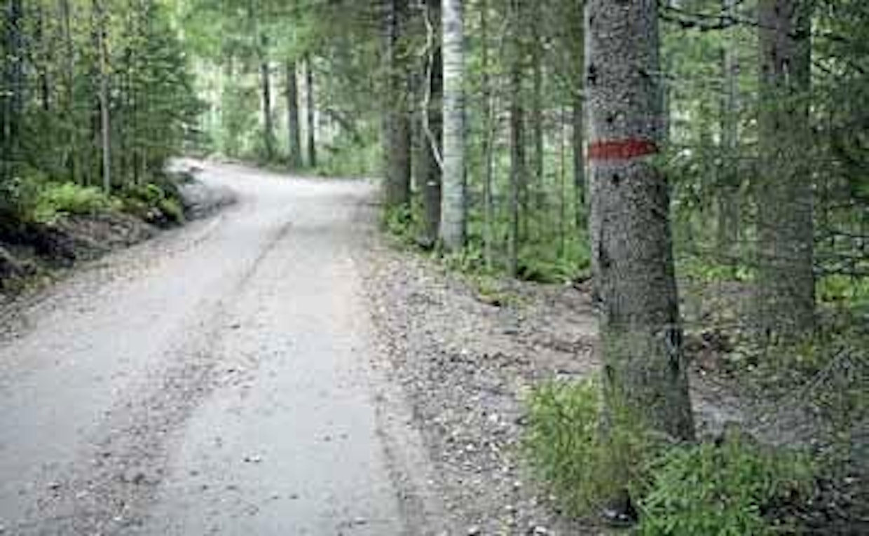Tiekunnalla on oikeus tarvittaessa poistaa tiealueella kasvava puusto.