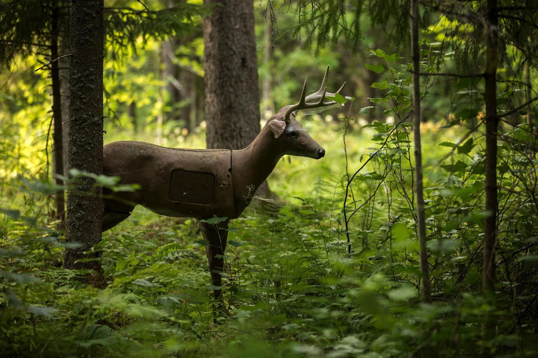 Tavallisen maalitaulun lisäksi jousimetsästäjät harjoittelevat paljon 3D-maaleihin ampumista. Maalit jäljittelevät oikean riistaeläimen kokoa ja mallia
