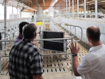 Verhoseinärakenteisten eläinhallien pituus on noin 230 metriä. Käytävällä seisovien miesten kasvojen suunnassa rakennuksen toisessa päässä ovat nuorkarjaparret. Sairaille lehmille on oma osastonsa.