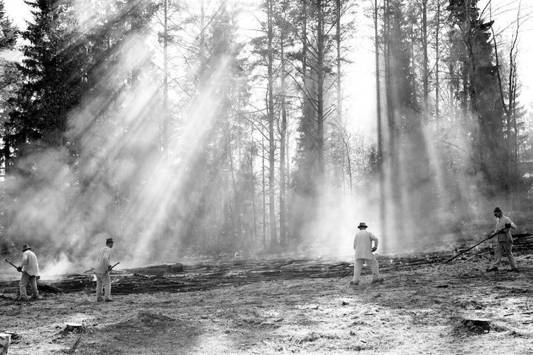 Kaskeamisen historia ulottuu Suomessa esihistorialliselle ajalle saakka. Savossa kaskeaminen alkoi menettää asemiaan vasta 1800-luvulta alkaen. Väkiluvun lisääntyessä ja asutuksen taajetessa kaskimaille oli yhä vähemmän alaa.
