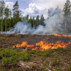Keski-Suomen alueella maastopalot ovat tänä kesänä tyypillisesti edenneet maapaloina aluskasvillisuudessa.