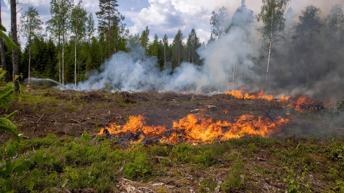 Keski-Suomen alueella maastopalot ovat tänä kesänä tyypillisesti edenneet maapaloina aluskasvillisuudessa.