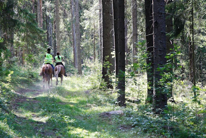 Tänä vuonna on Ratsastajainliiton hevosen hyvinvoinnin teemavuosi. Hevonen on myös Eläinten viikon teemaviikko.