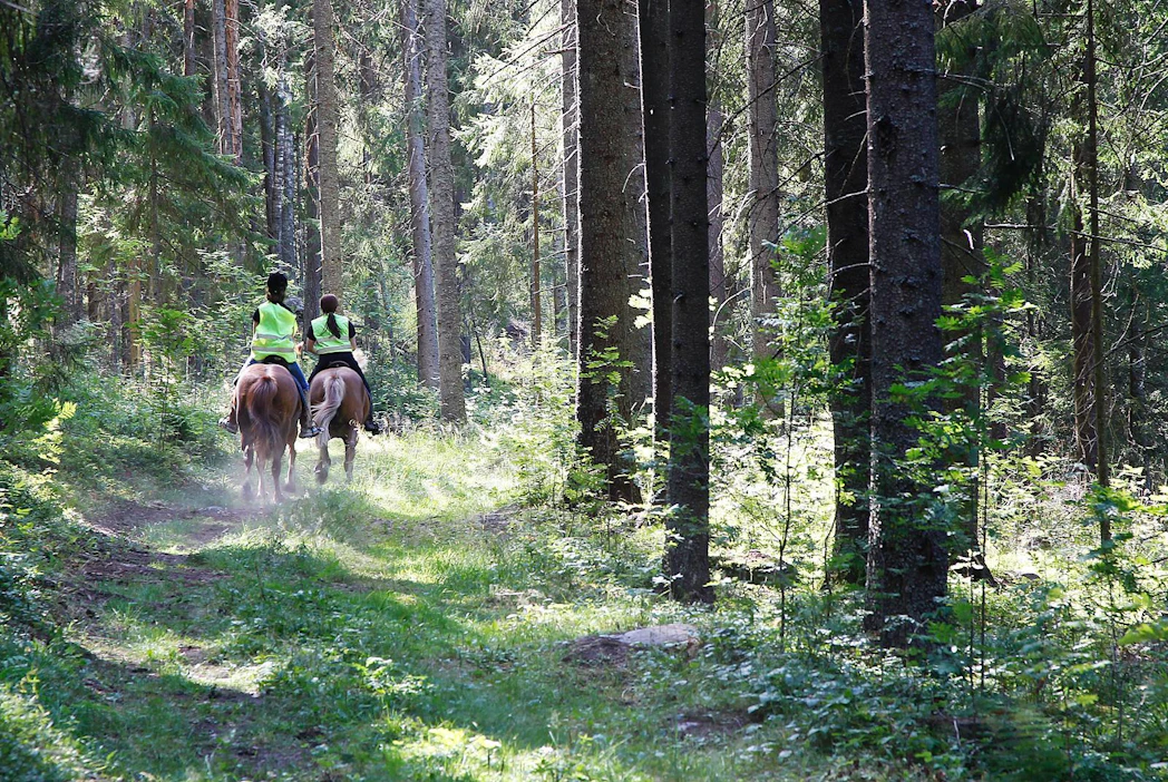 Tänä vuonna on Ratsastajainliiton hevosen hyvinvoinnin teemavuosi. Hevonen on myös Eläinten viikon teemaviikko.