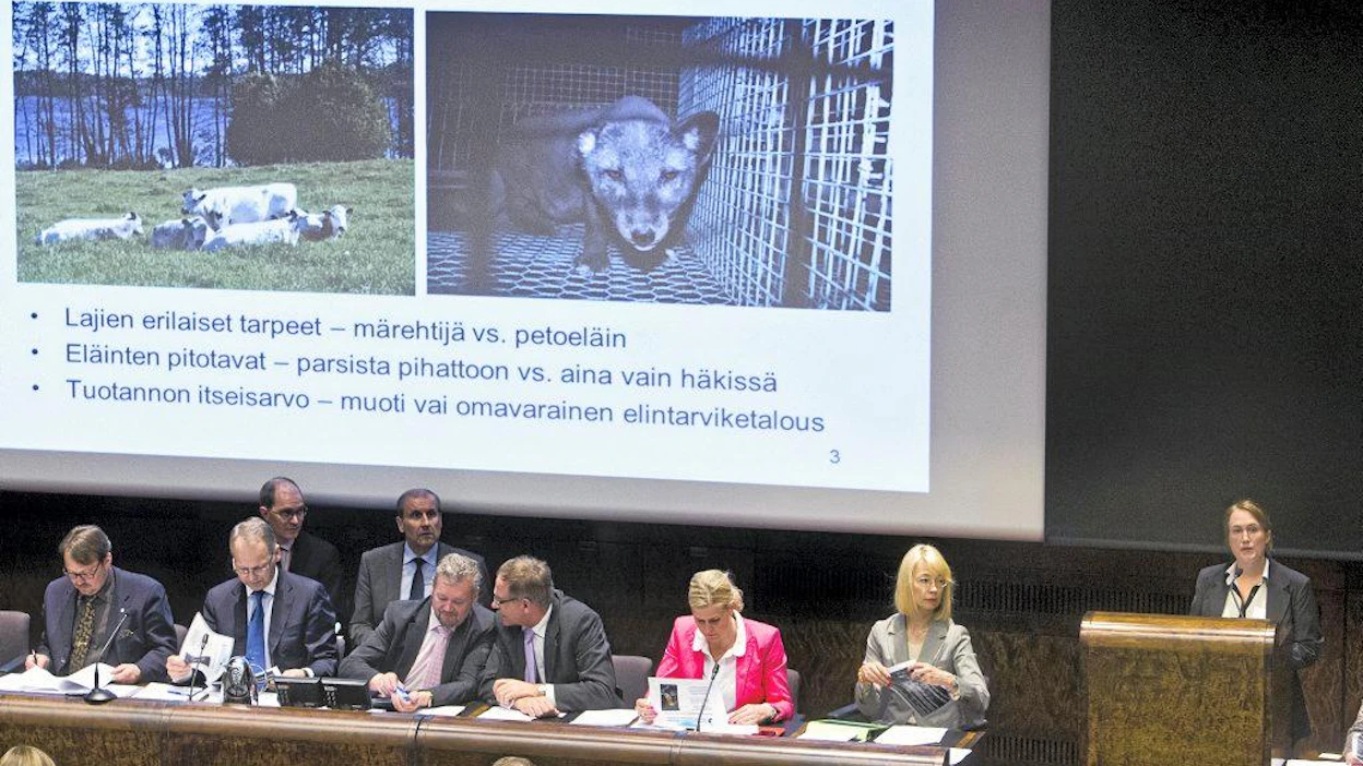 Eduskunnan maa- ja metsätalousvaliokunnan julkinen kuuleminen kansalaisaloitteesta turkistarhauksen kieltämiseksi. Alustamassa Kati Pulli.