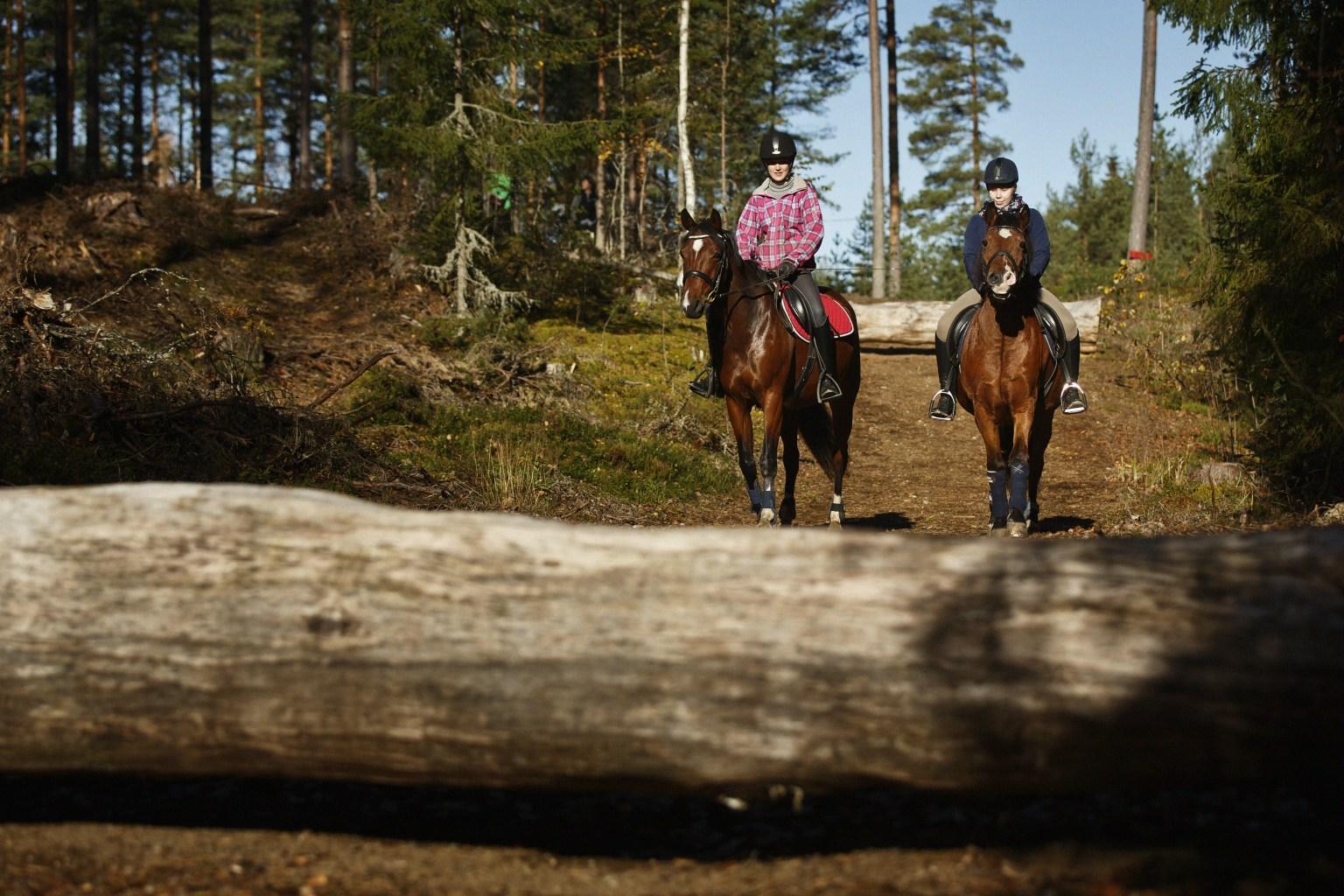 Vanhalla Varusmiesten Ampumaradalla Kopisevat Kaviot - MT Hevoset ...