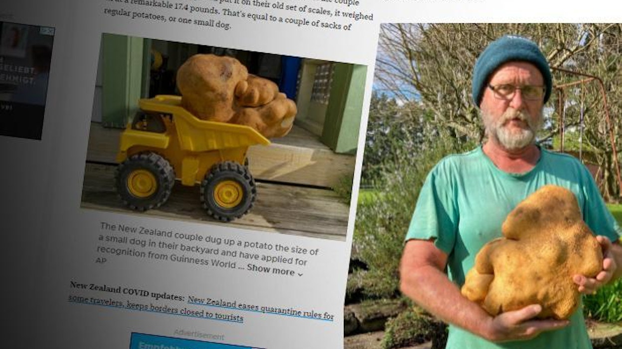 Doug-niminen peruna ei ole kauneudella pilattu.