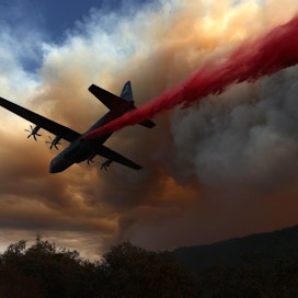 Paloja roihuaa eri puolilla osavaltiota. Niistä laajimpien arvioidaan lukeutuvan suurimpiin maastopaloihin osavaltion historiassa. LEHTIKUVA / Getty Images / AFP