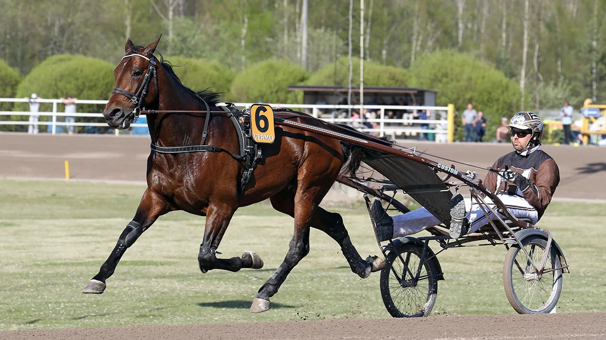 Propulsion ja valmentajansa Daniel Redén ovat viime vuosien isoimpia nimiä pohjoismaisessa raviurheilussa - hyvässä ja pahassa.