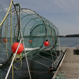 Suurin osa kalastajista kalastaa rannikolla rysillä.