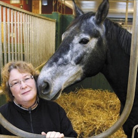 Tiina Ahlqvist lopetti hevoskasvatuksen neljä vuotta sitten kannattamattomana. Turpakontaktia ottaa Pinewood Griminal. Jaana Kankaanpää