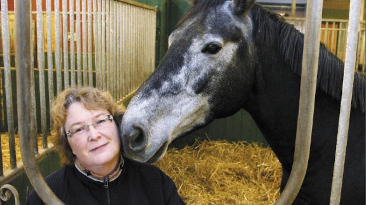 Tiina Ahlqvist lopetti hevoskasvatuksen neljä vuotta sitten kannattamattomana. Turpakontaktia ottaa Pinewood Griminal. Jaana Kankaanpää