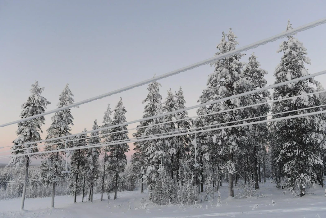 Lumisia voimalinjoja ja puita pakkaspäivänä Kommattivaarassa Sodankylässä 30. joulukuuta. LEHTIKUVA / VESA MOILANEN
