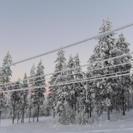 Lumisia voimalinjoja ja puita pakkaspäivänä Kommattivaarassa Sodankylässä 30. joulukuuta. LEHTIKUVA / VESA MOILANEN