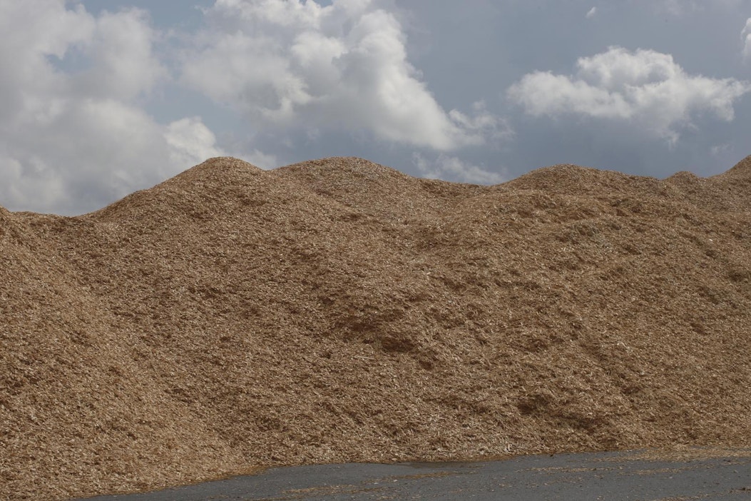 Kuvan hakekasa ei liity tapaukseen.