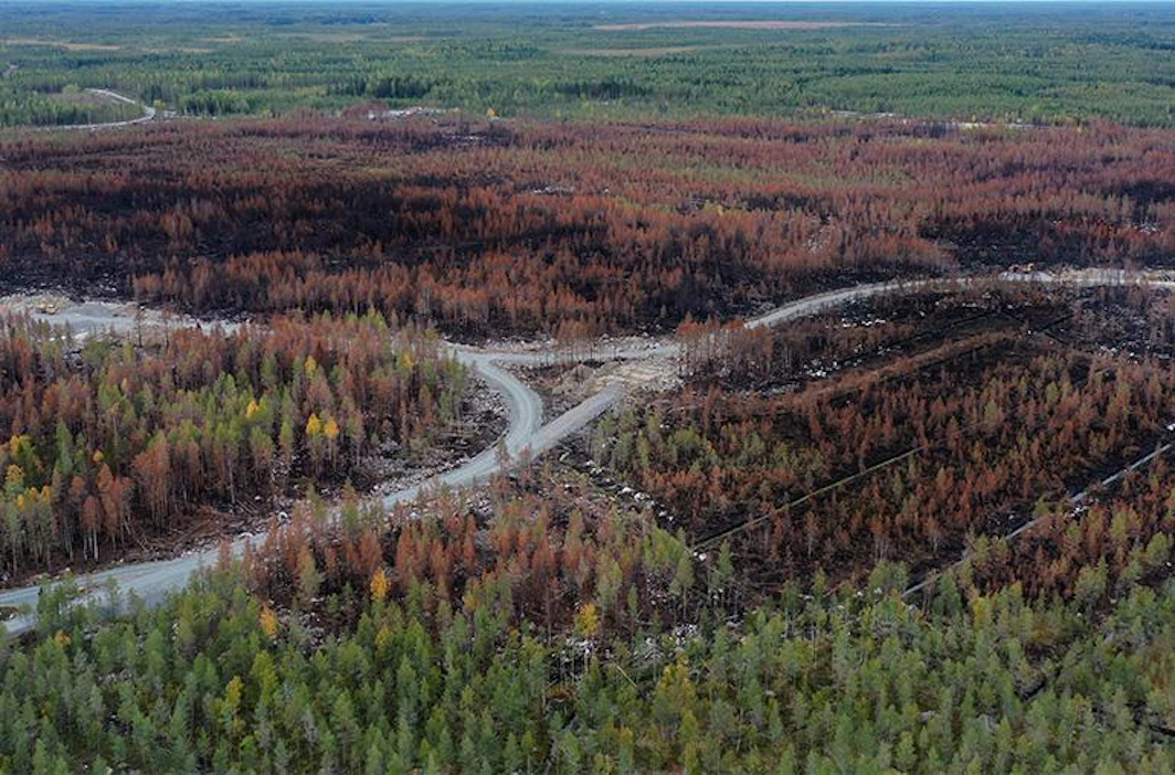 Kalajoen Rautiossa paloi heinä-elokuun vaihteessa 227 hehtaaria metsää. Osa paloalueesta on nyt päätetty suojella Metson kautta.