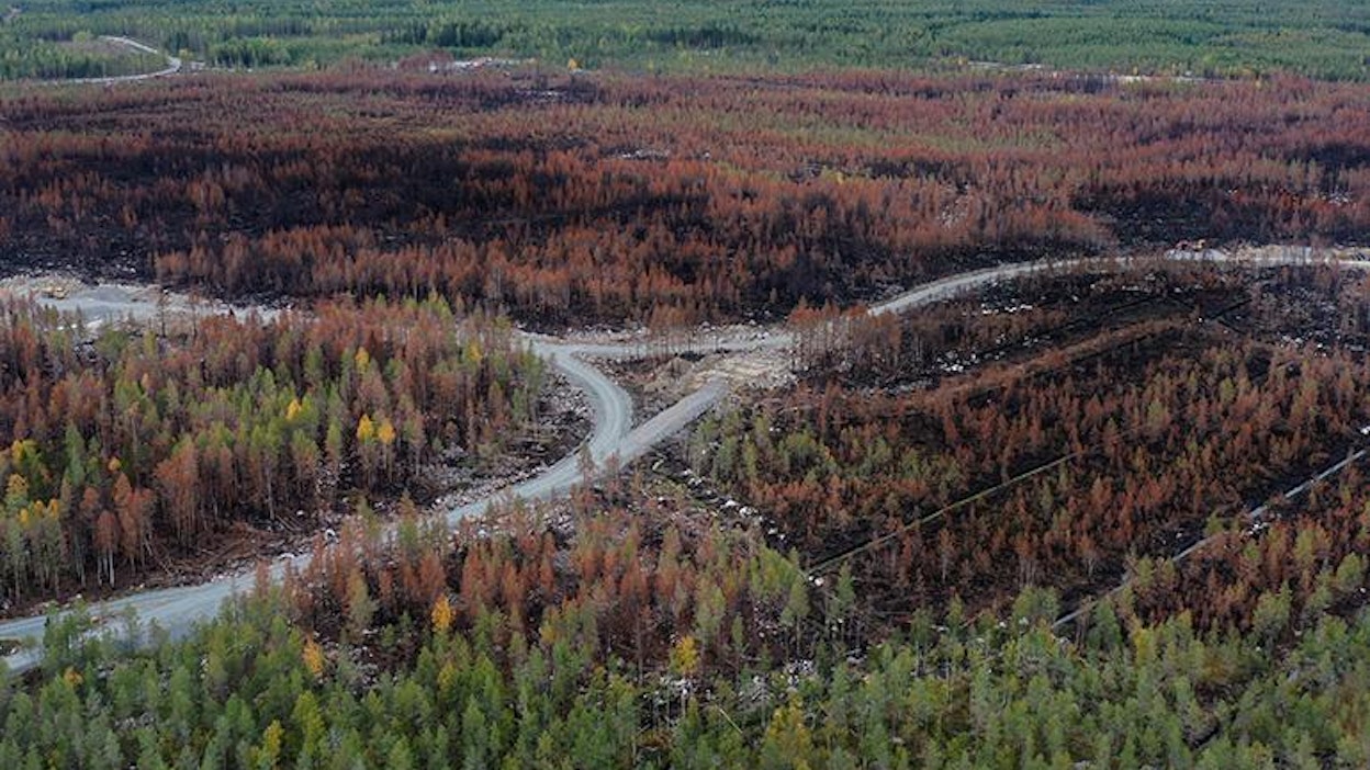 Kalajoen Rautiossa paloi heinä-elokuun vaihteessa 227 hehtaaria metsää. Osa paloalueesta on nyt päätetty suojella Metson kautta.