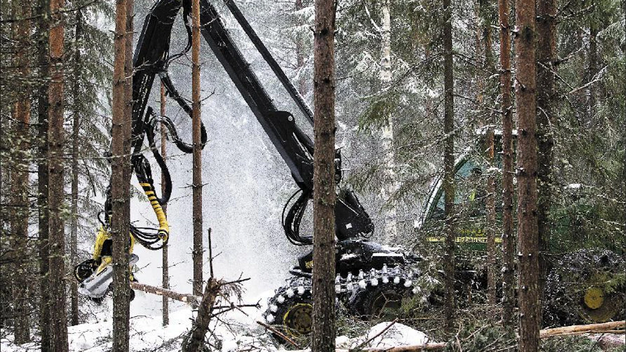 Inkeri Marttilalla ei ole kovin hyviä kokemuksia metsänhoitoyhdistyksen toiminnasta. Hänen mukaansa muun muassa hakkuissa on töpeksitty. Kari Salonen