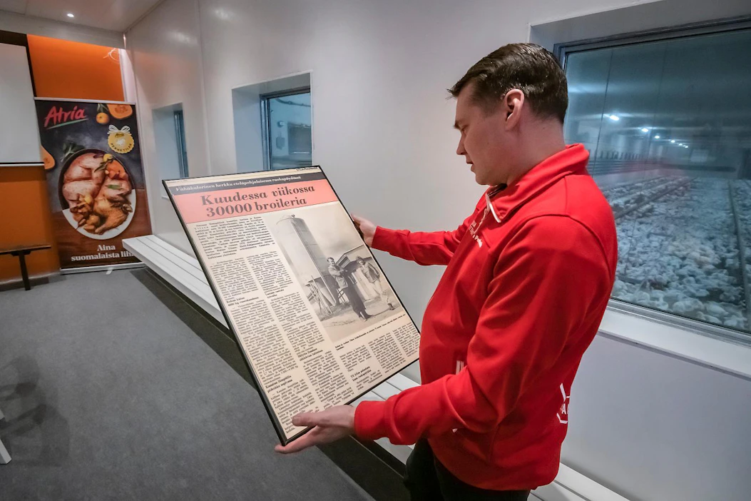 Aki Ylinen tutkailee Etelä-Pohjanmaa-lehden kehystettyä sivua vuodelta 1977. Jutussa esitellään Akin vanhempien Raimo ja Anelma Ylisen aloittamaa broilerien kasvatustoimintaa.