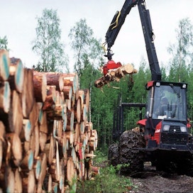 Metsäsektorin osuus biotalouden tuotoksesta ja arvonlisäyksestä oli viime vuonna lähes 40 prosenttia. LEHTIKUVA / Jaakko Avikainen