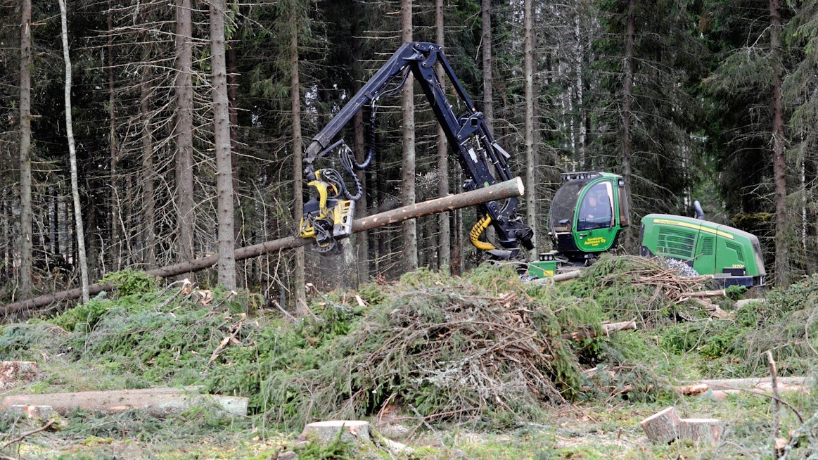 Tukkipuun hakkuut lisääntyivät vuonna 2018 edellisvuodesta noin 10 prosenttia. Havutukkipuun kantohinnat nousivat reaalisesti yli viisi prosenttia.