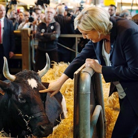 Marine Le Penin suosio viljelijöiden keskuudessa on kahdeksan prosenttiyksikköä korkeampi kuin muun väen keskuudessa. Nuorten viljelijöiden järjestön Vincent Tonzot arvioi viljelijöiden talousvaikeuksien vaikuttavan Le Penin suosioon.