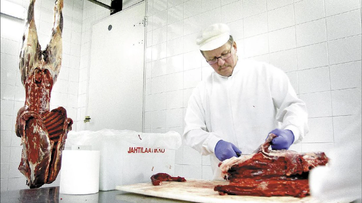Ari Keronen paloittelee tottunein ottein 170-kiloista uroshirveä. Hän iloitsee siitä, miten hyvin metsästysseurat ovat ottaneet uuden Pankakoskella sijaitsevan leikkaamon omakseen. Lari Lievonen