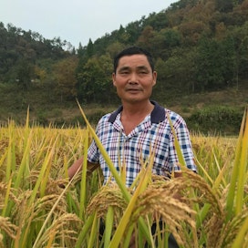 Wang Jian Kunin mukaan riisin hinta vaihtelee 3,5–15 yuanin eli 0,45–1,90 euron välillä kilolta.