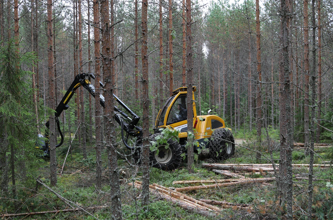 Ensiharvennukselle riittää usein pienempikin hakkuukone. Kevyt ja ketterä kone kulkee lähes jälkiä jättämättä.