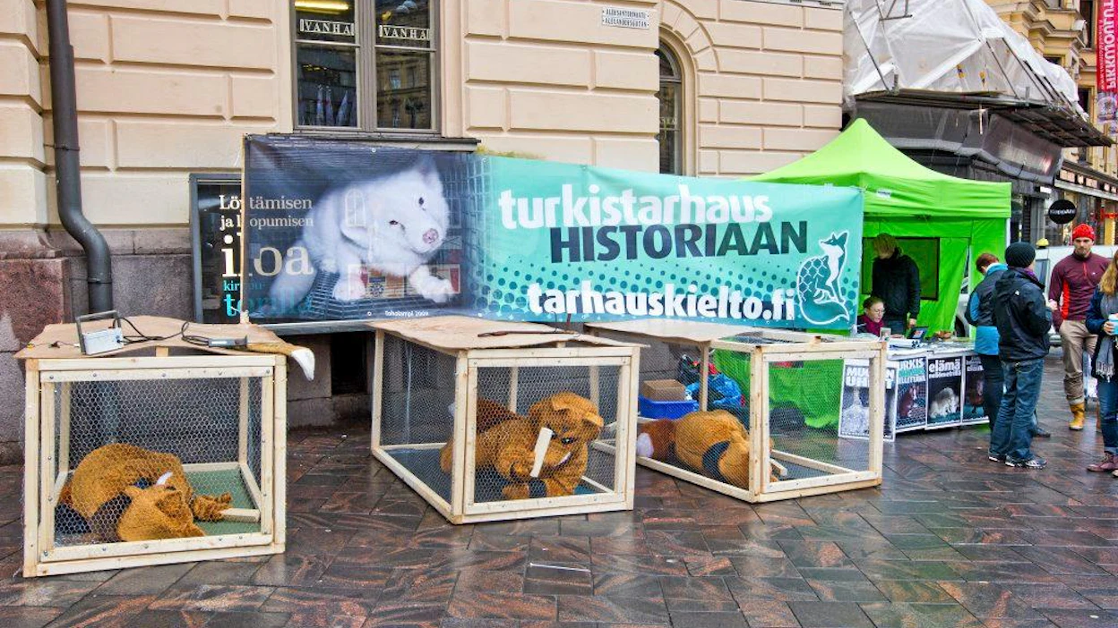 Turkistarhauksen vastustus Kolmen Sepän aukiolla. Ketuiksi pukeutuneet häkeissä 24h