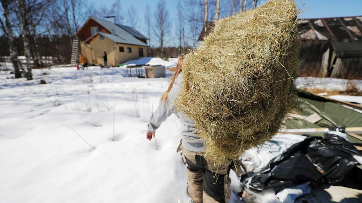 Pudasjärvellä oli toukokuun puolivälissä runsaasti lunta maassa.