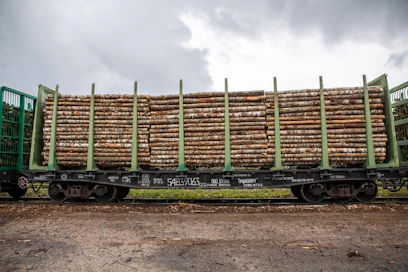 Puuta on tuotu Suomeen Venäjän standardien mukaisella vaunukalustolla. Nyt vaunujen käyttö halutaan sallia Suomen sisäisissä puukuljetuksissa tietyin ehdoin.