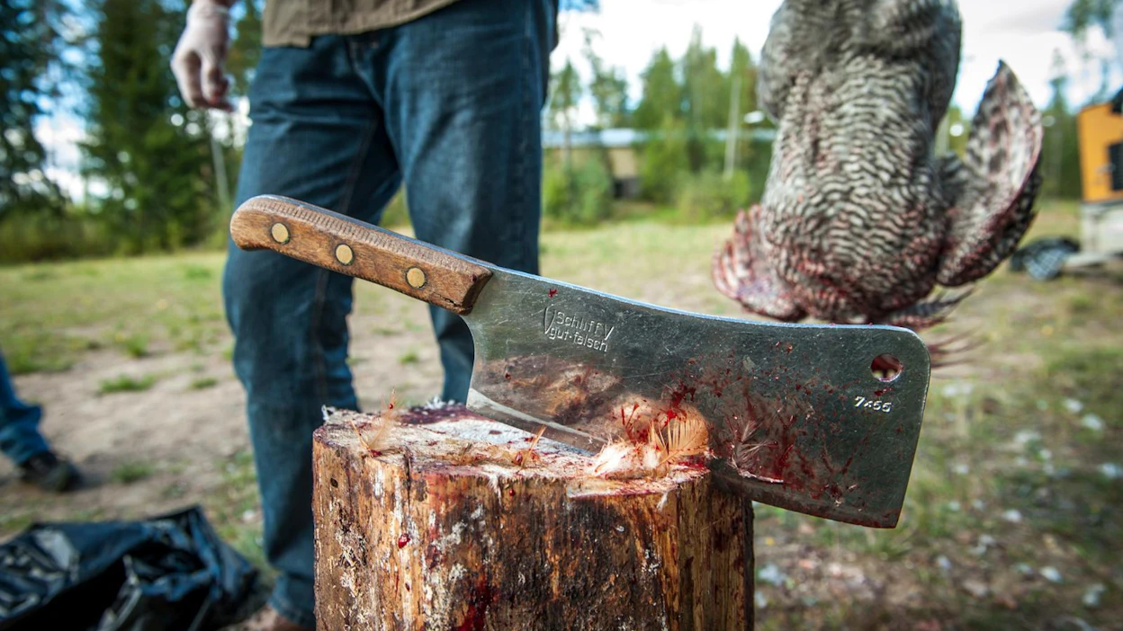 Kaniininkasvattajat ovat järjestäneet lahtauskursseja jo useampana vuonna. Kanayhdistykselle kurssi oli ensimmäinen, mutta tuskin viimeinen.